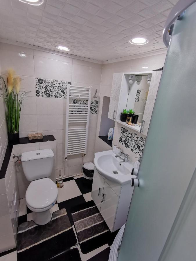 Apartament Dilama Sinaia Exterior foto
